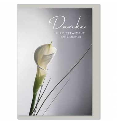 Dankeskarten 62-017 Danke