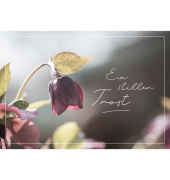Trauerkarten 04-639 Ein stiller Trost