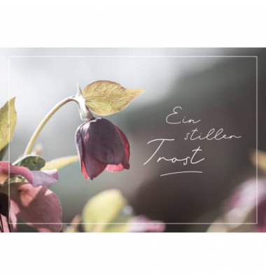 Trauerkarten 04-639 Ein stiller Trost