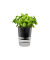 GEFU Übertopf Botanico Metall schwarz rund 14,2 x 18,5 cm