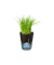 GEFU Übertopf Botanico Metall schwarz rund 14,2 x 18,5 cm