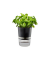 GEFU Übertopf Botanico Metall schwarz rund 14,2 x 18,5 cm