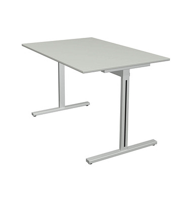 Schreibtisch Form 1, 75cm (H), 120x80cm (BxT), rechteckig, lichtgrau / silber