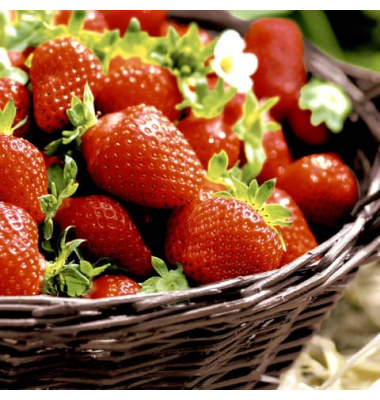 Motivservietten 195237 / Erdbeeren im Korb, 3-lagig, 33x33cm
