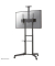 Neomounts by Newstar TV-Ständer mit Rollen FL50-550BL1 schwarz