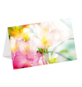 Grußkarten Blumen LU1769 11,5cm x 11,5cm (BxH) 260g Motiv Chromopapier FSC
