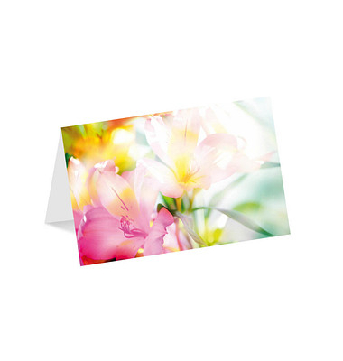 Grußkarten Blumen LU1769 11,5cm x 11,5cm (BxH) 260g Motiv Chromopapier FSC