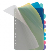 Kunststoffregister 4248 800, 10-teilig blanko, A4, farbige Taben, 10-teilig