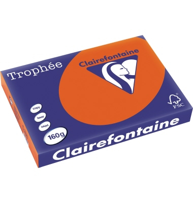 Kopierpapier Trophee 1031C ziegelrot intensiv A3 160g 
