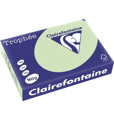 Kopierpapier Trophee 1107C grün pastell A4 160g 