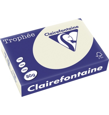 Kopierpapier Trophee 1788C grau A4 80g 