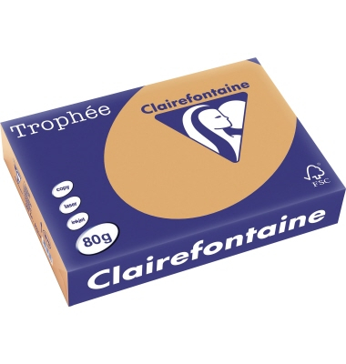 Kopierpapier Trophee 1879C camel A4 80g 