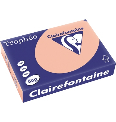 Kopierpapier Trophee 1970C pfirsich A4 80g 