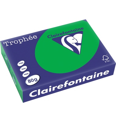 Kopierpapier Trophee 1991C billardgrün A4 80g 