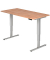 Sitz-Steh-Schreibtisch, elektrisch höhenverstellbar, 63,5-128,5cm (H), 160x80cm (BxT), rechteckig, nussbaum / silber
