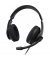 Hama Headset HS-USB300 V2 00139935