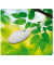 Mousepad Earth Series 5903801 foto Blätter (Laub) 22,8x20,3x0,16cm