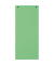 Trennstreifen 13445B Forever grün 180g gelocht 24x10,5cm 