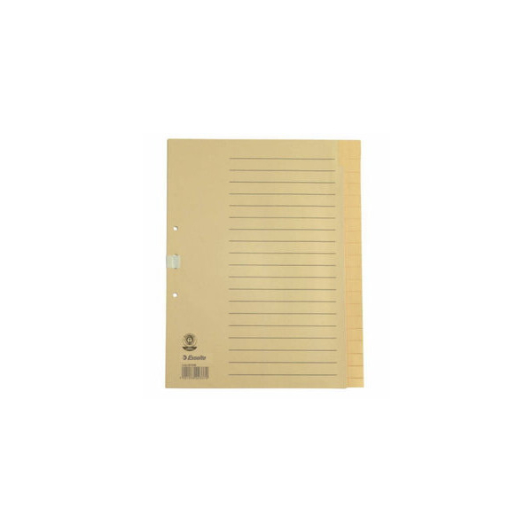 Esselte Kartonregister 621006, 20-teilig blanko, A4, 100 g/m², chamois Taben, 20-teilig 4001536003653 Esselte