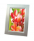 Fotopapier Premium 2739, A4, für Inkjet, 270g weiß hochglänzend einseitig bedruckbar