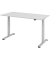 Sitz-Steh-Schreibtisch, elektrisch höhenverstellbar, 71-120cm (H), 160x80cm (BxT), rechteckig, grau / silber
