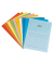 Sichtmappe Ordo classico 29488 A4 120g Papier farbig sortiert für lose Blätter mit Sichtfenster
