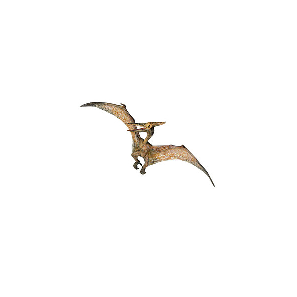 3465000550066 - 55006 Dinosaurier Pteranodon Spielfigur 3465000550066 papo 3465000550066 - 55006 Dinosaurier Pteranodon Spielfigur 3465000550066 papo