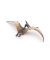 papo 55006 Dinosaurier Pteranodon Spielfigur
