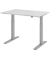 Sitz-Steh-Schreibtisch, elektrisch höhenverstellbar, 70-120cm (H), 120x80cm (BxT), rechteckig, lichtgrau / silber