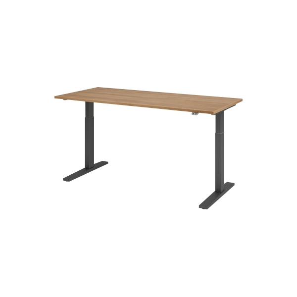 4032062185698 - Sitz-Steh-Schreibtisch VXMKA19 N G elektrisch höhenverstellbar 70-120cm (H) 180x80cm (BxT) rechteckig nussbaum   graphit 403