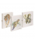 Ringbuch Save me Tiger, Schildkr&ouml;te und Elefant 20777-25, A4 2 Ringe 24mm Ring-&Oslash; Graukarton bunt
