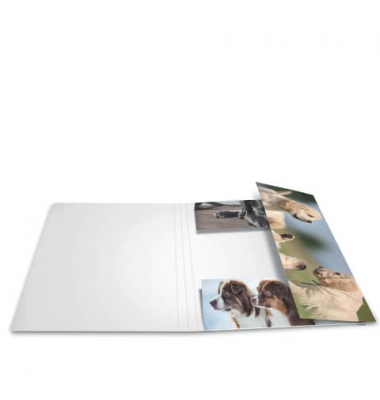 Gummizugmappe 19218, A3 hunde Karton, mit 3 Einschlagklappen