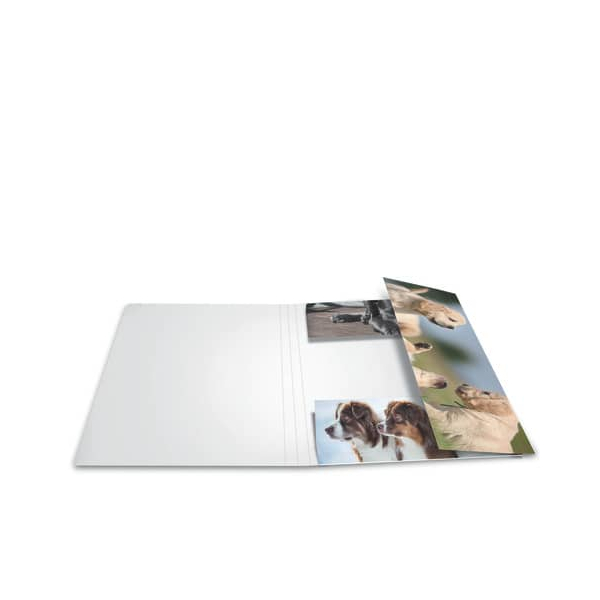 4008705192187 - Gummizugmappe 19218 A3 hunde Karton mit 3 Einschlagklappen 4008705192187 Herma