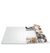 Gummizugmappe 19219, A3 Katzen Karton, mit 3 Einschlagklappen Gummizugmappe 19219, A3 Katzen Karton, mit 3 Einschlagklappen