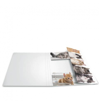 Gummizugmappe 19219, A3 Katzen Karton, mit 3 Einschlagklappen