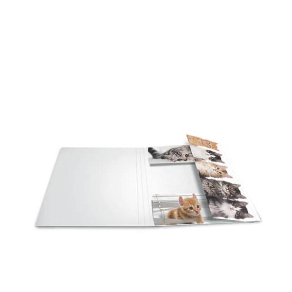 4008705192194 - Gummizugmappe 19219 A3 Katzen Karton mit 3 Einschlagklappen 4008705192194 Herma