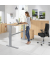 Sitz-Steh-Schreibtisch BASIC MULTI M, elektrisch höhenverstellbar, 72,5-114cm (H), 120x80cm (BxT), rechteckig, buche / silber
