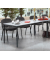 Besprechungstisch 221511, 72cm (H), 200x80cm (BxT), 8 Personen, rechteckig, lichtgrau / anthrazit