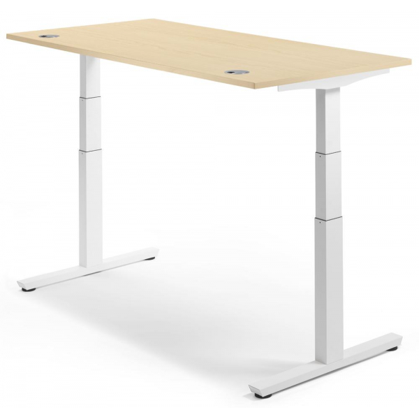 4251747704560 - Sitz-Steh-Schreibtisch 288585 elektrisch höhenverstellbar  1600mmx800mm (BxT) rechteckig ahorn   Weiß RAL 9016 4251747704560