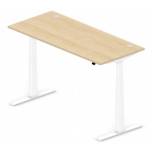 4255704312393 - Sitz-Steh-Schreibtisch Comfort Multi M Pro 331910 elektrisch höhenverstellbar 64-130cm (H) 2000mmx800mm (BxT) rechteckig buc