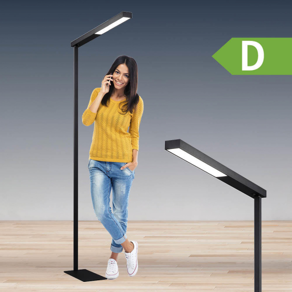 4255704313017 - LED-Stehlampe schwarz mit Standfuß 4255704313017 Deskin