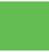 Fotokarton 204716254, grasgrün, 50x70cm, 300g