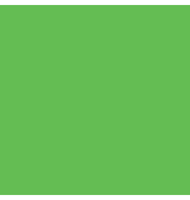 Fotokarton 204716254, grasgrün, 50x70cm, 300g