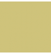 HEYDA Fotokarton 204716394 50x70cm 300 g gold matt