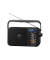 Panasonic RF-2400DEG-K Radio schwarz