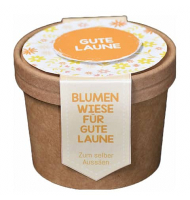 Blumenwiese zum Aussäen Gute Laune Anzuchtset