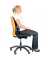 Rückenstütze Professional Series Netz /8029901 schwarz