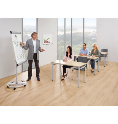 Klapptisch, 72cm (H), 160x80cm (BxT), rechteckig, ahorn / silber