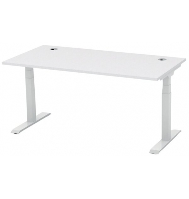 Schreibtisch FLEX MODUL, elektrisch h&ouml;henverstellbar, 60-125,5cm (H), 160x80cm (BxT), rechteckig, lichtgrau / silber