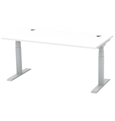 Schreibtisch FLEX MODUL, elektrisch h&ouml;henverstellbar, 60-125,5cm (H), 160x80cm (BxT), rechteckig, wei&szlig; / silber
